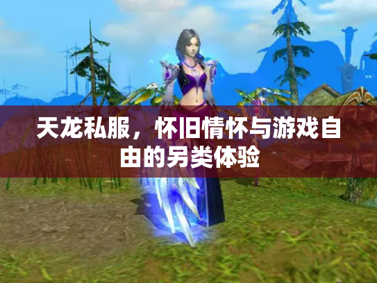 天龙私服，怀旧情怀与游戏自由的另类体验