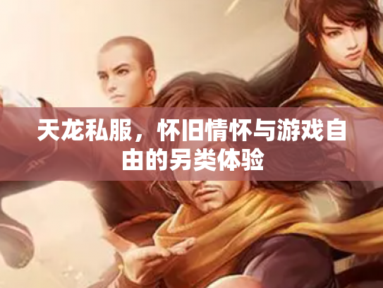 天龙私服，怀旧情怀与游戏自由的另类体验