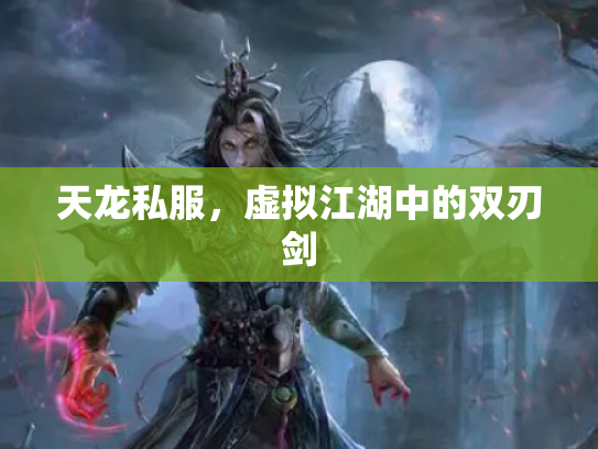 天龙私服，虚拟江湖中的双刃剑