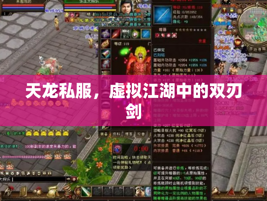 天龙私服，虚拟江湖中的双刃剑