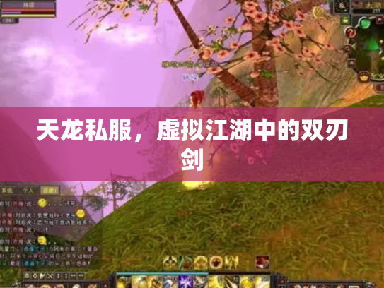 天龙私服，虚拟江湖中的双刃剑