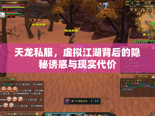 天龙私服，虚拟江湖背后的隐秘诱惑与现实代价