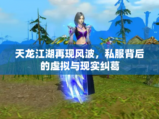 天龙江湖再现风波，私服背后的虚拟与现实纠葛
