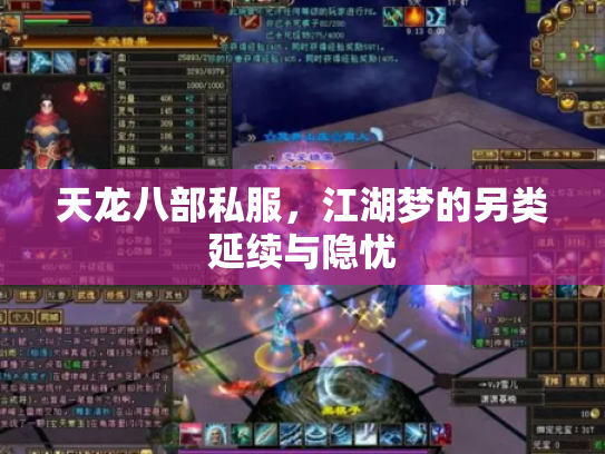 天龙八部私服，江湖梦的另类延续与隐忧