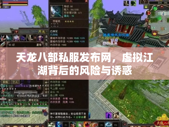 天龙八部私服发布网，虚拟江湖背后的风险与诱惑