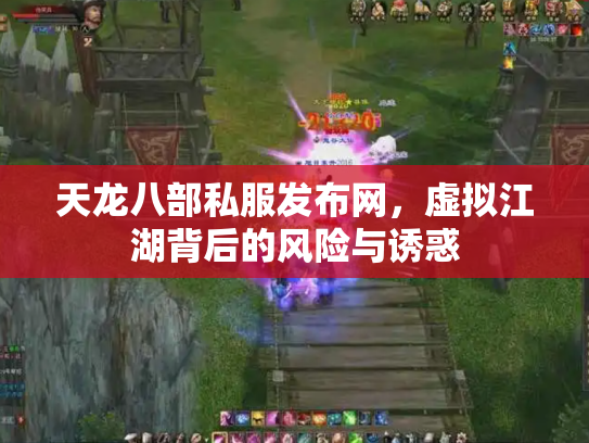 天龙八部私服发布网，虚拟江湖背后的风险与诱惑
