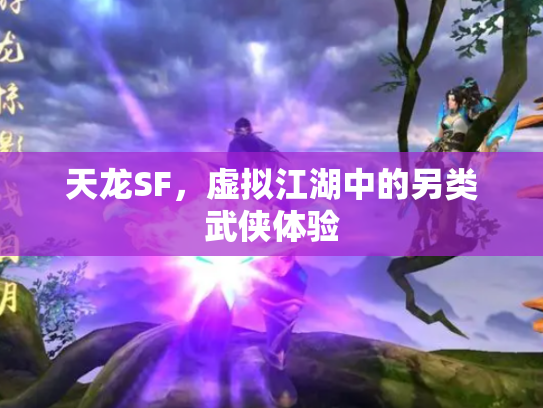 天龙SF，虚拟江湖中的另类武侠体验