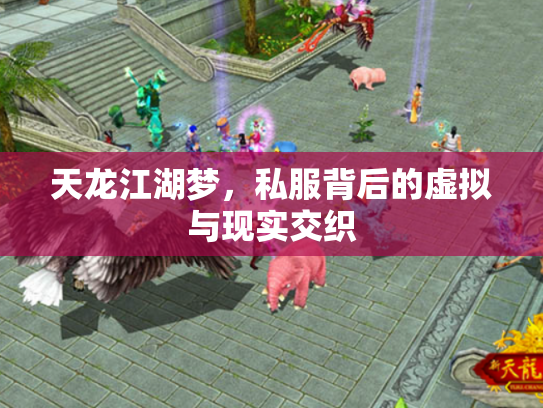 天龙江湖梦，私服背后的虚拟与现实交织
