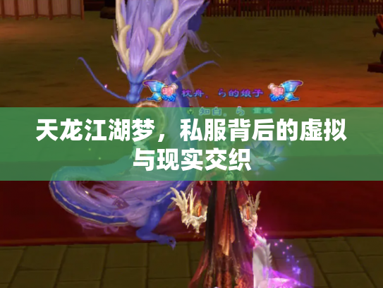 天龙江湖梦，私服背后的虚拟与现实交织