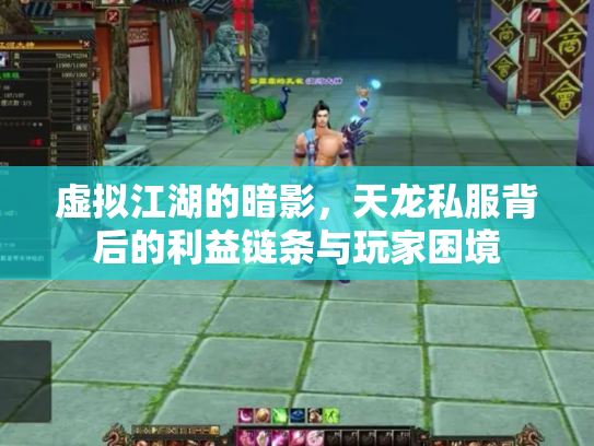 虚拟江湖的暗影，天龙私服背后的利益链条与玩家困境