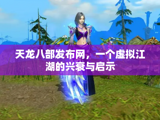 天龙八部发布网，一个虚拟江湖的兴衰与启示