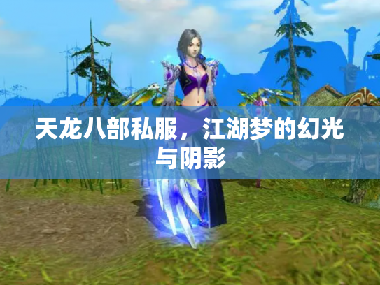 天龙八部私服，江湖梦的幻光与阴影