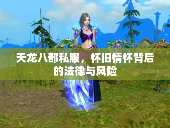 天龙八部私服，怀旧情怀背后的法律与风险