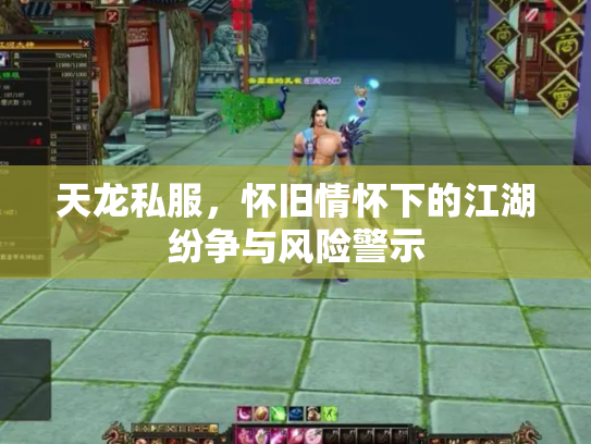 天龙私服，怀旧情怀下的江湖纷争与风险警示