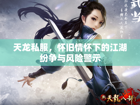 天龙私服，怀旧情怀下的江湖纷争与风险警示