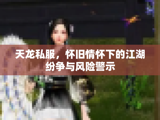 天龙私服，怀旧情怀下的江湖纷争与风险警示
