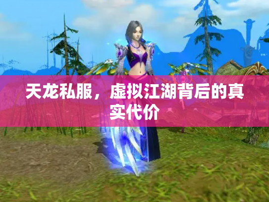 天龙私服，虚拟江湖背后的真实代价