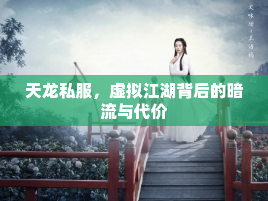 天龙私服，虚拟江湖背后的暗流与代价