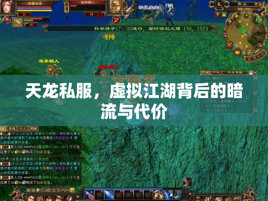 天龙私服，虚拟江湖背后的暗流与代价