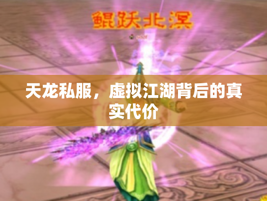 天龙私服，虚拟江湖背后的真实代价