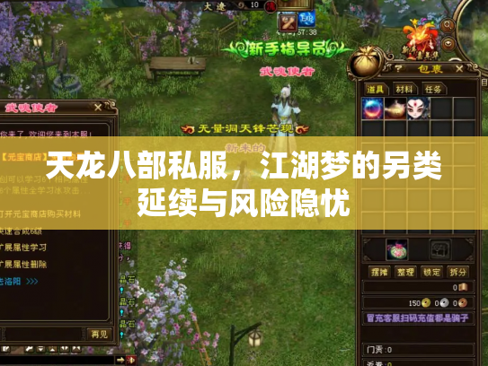 天龙八部私服，江湖梦的另类延续与风险隐忧