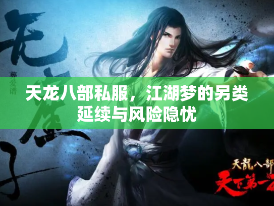天龙八部私服，江湖梦的另类延续与风险隐忧