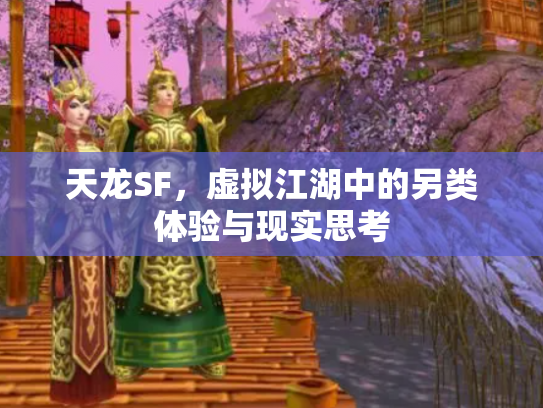 天龙SF，虚拟江湖中的另类体验与现实思考