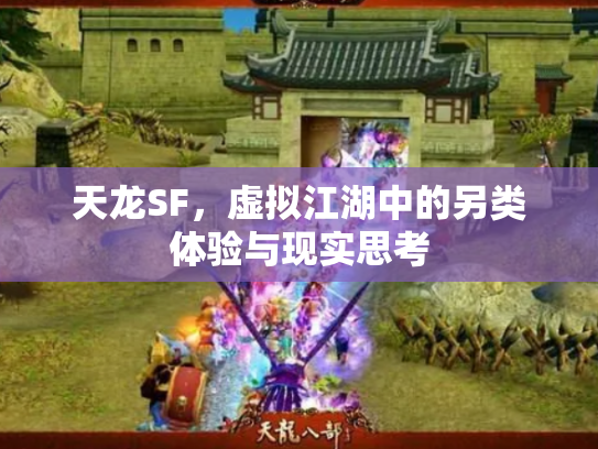 天龙SF，虚拟江湖中的另类体验与现实思考