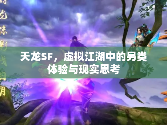 天龙SF，虚拟江湖中的另类体验与现实思考