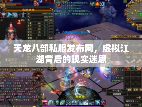 天龙八部私服发布网，虚拟江湖背后的现实迷思
