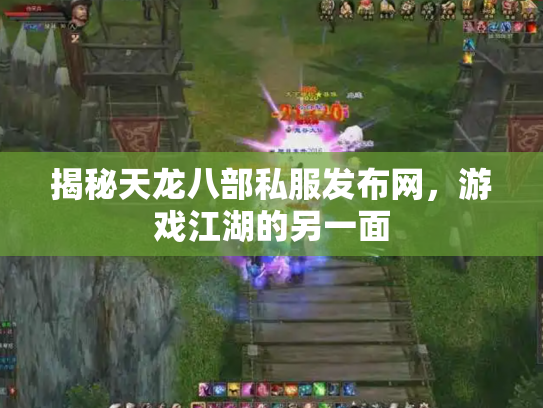 揭秘天龙八部私服发布网，游戏江湖的另一面