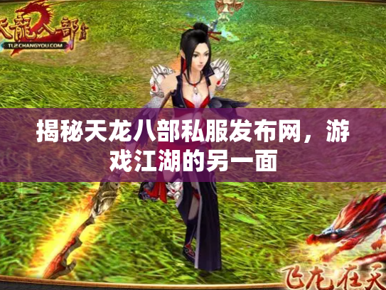 揭秘天龙八部私服发布网，游戏江湖的另一面