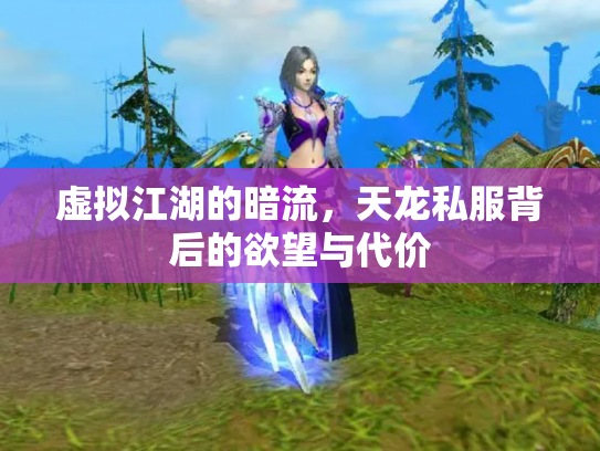 虚拟江湖的暗流，天龙私服背后的欲望与代价
