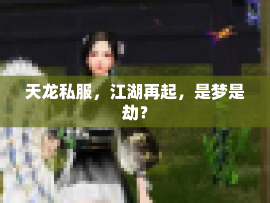 天龙私服，江湖再起，是梦是劫？