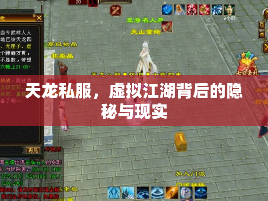 天龙私服，虚拟江湖背后的隐秘与现实