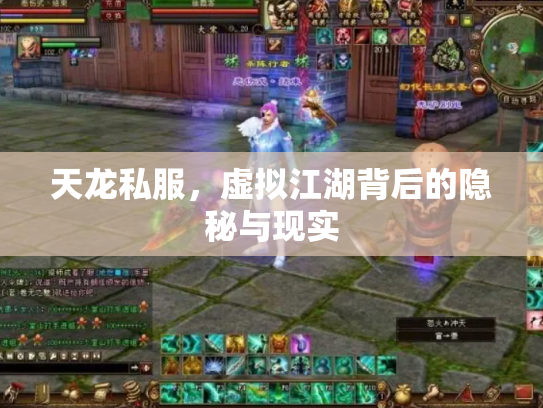 天龙私服，虚拟江湖背后的隐秘与现实