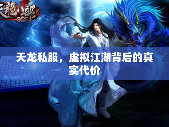 天龙私服，虚拟江湖背后的真实代价