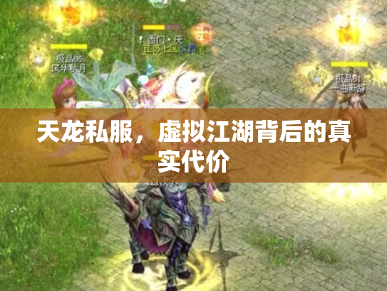 天龙私服，虚拟江湖背后的真实代价