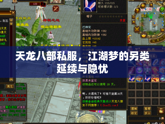 天龙八部私服，江湖梦的另类延续与隐忧