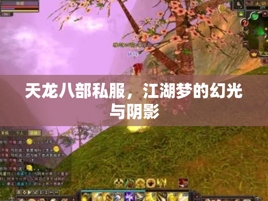 天龙八部私服，江湖梦的幻光与阴影