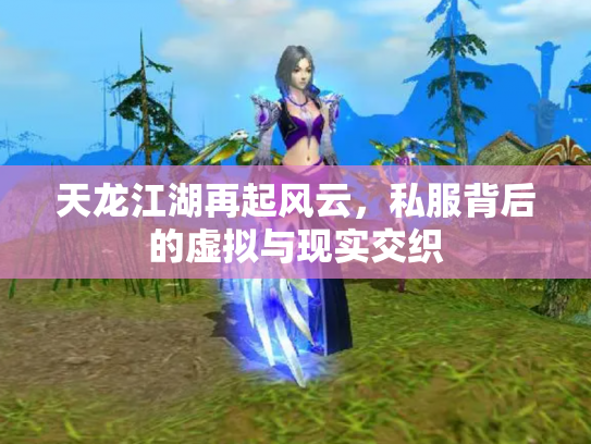 天龙江湖再起风云，私服背后的虚拟与现实交织