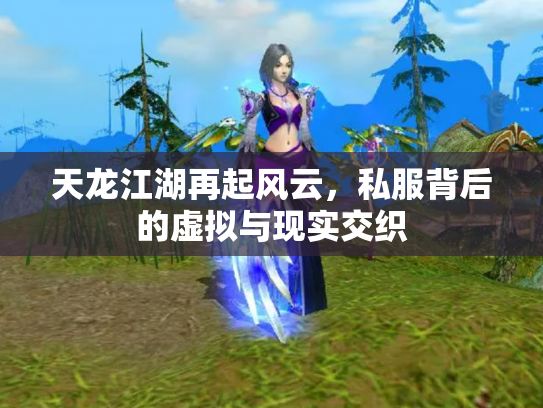 天龙江湖再起风云，私服背后的虚拟与现实交织