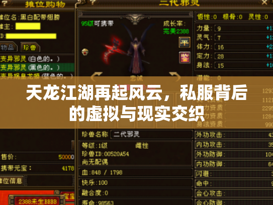 天龙江湖再起风云，私服背后的虚拟与现实交织