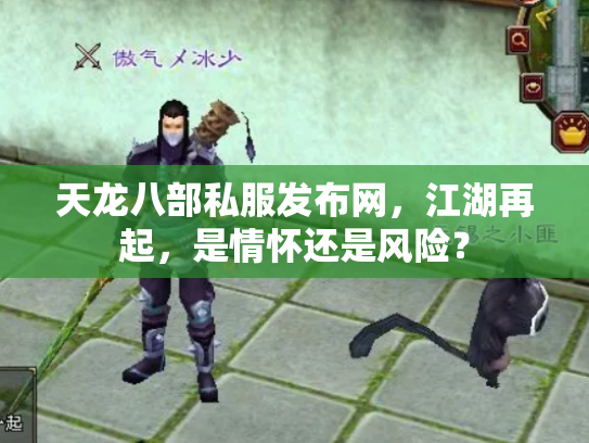 天龙八部私服发布网，江湖再起，是情怀还是风险？