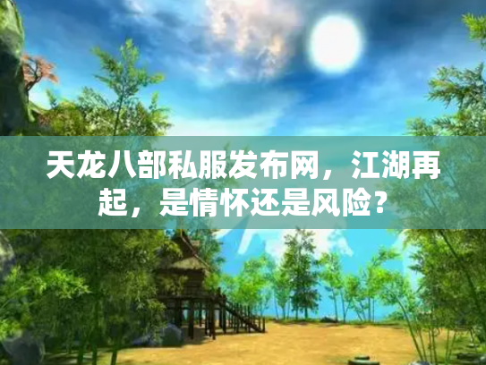 天龙八部私服发布网，江湖再起，是情怀还是风险？