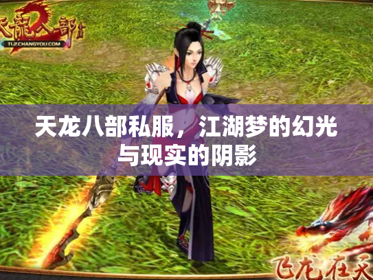 天龙八部私服，江湖梦的幻光与现实的阴影