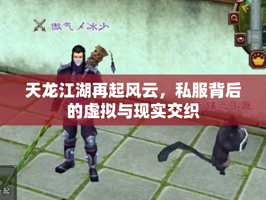 天龙江湖再起风云，私服背后的虚拟与现实交织