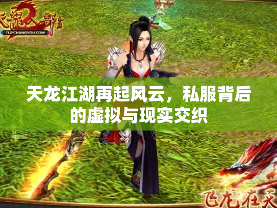 天龙江湖再起风云，私服背后的虚拟与现实交织