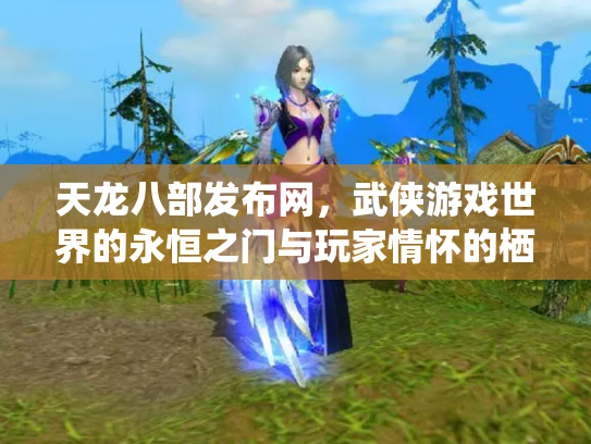 天龙八部发布网，武侠游戏世界的永恒之门与玩家情怀的栖息地