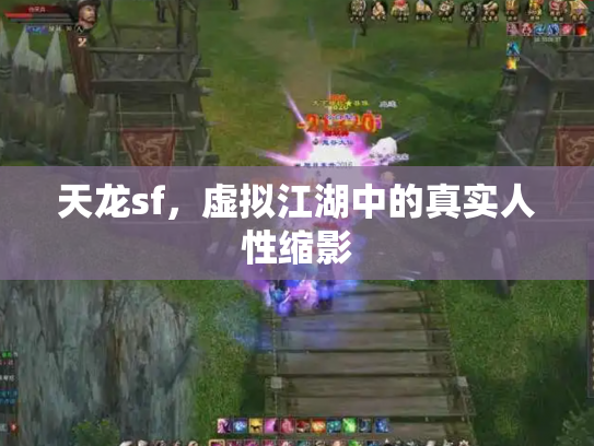 天龙sf，虚拟江湖中的真实人性缩影